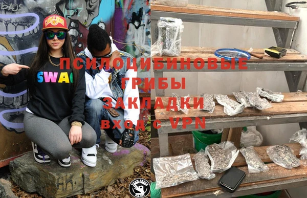 2c-b Медвежьегорск